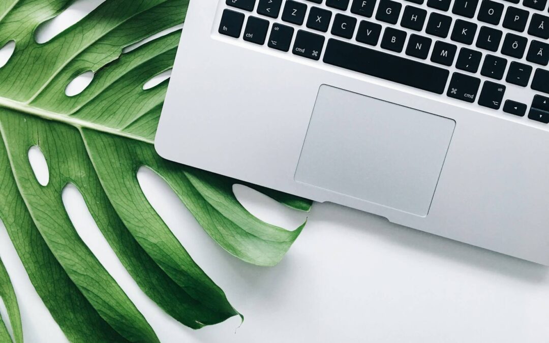 Mit einem professionellen Webdesign für Heilpraktiker mehr Patienten gewinnen